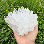 Large crystal cluster held in a hand with grass and flowers in the background