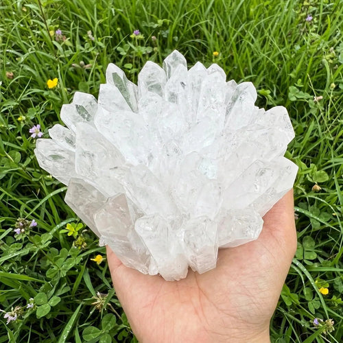 Large crystal cluster held in a hand with grass and flowers in the background