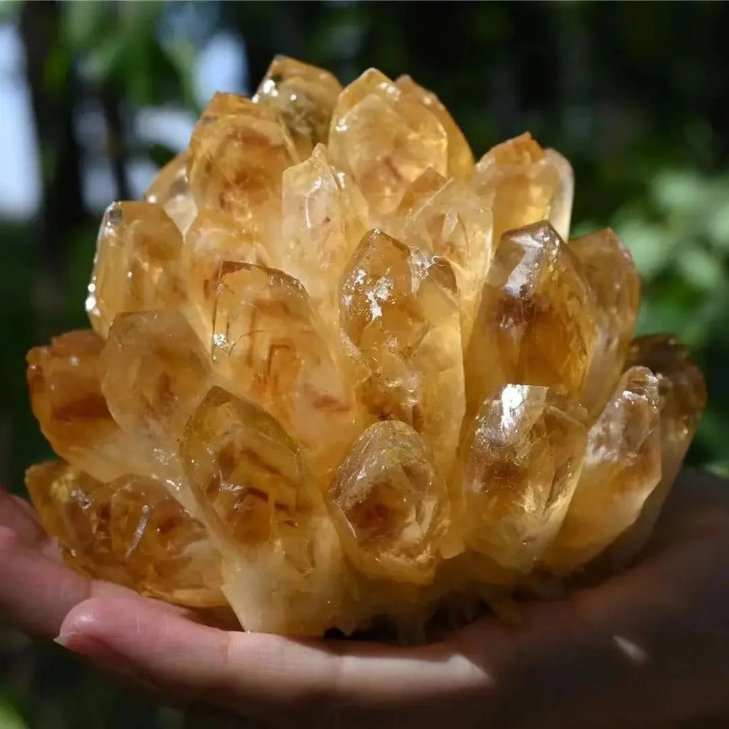 Natural citrine quartz crystal cluster golden raw healing stone in hand