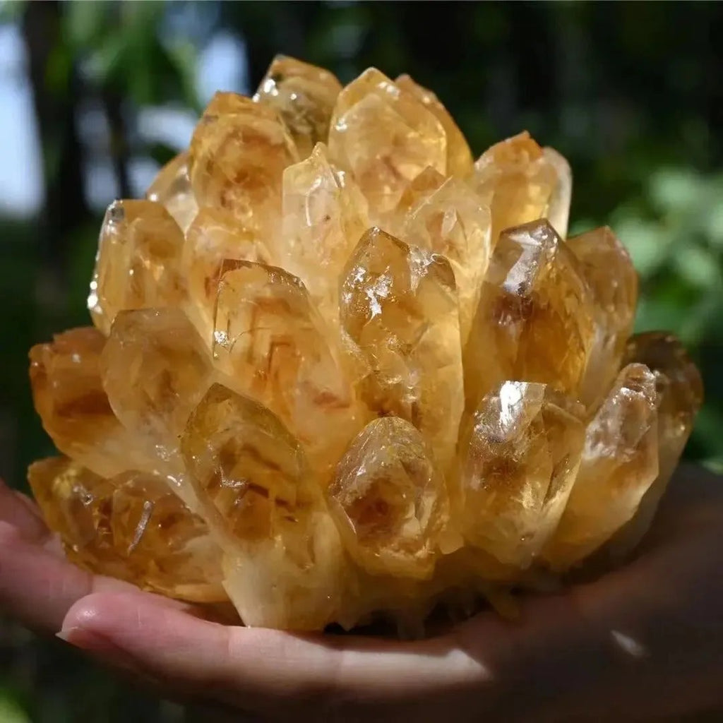 Stunning natural raw citrine quartz crystal cluster view in hand