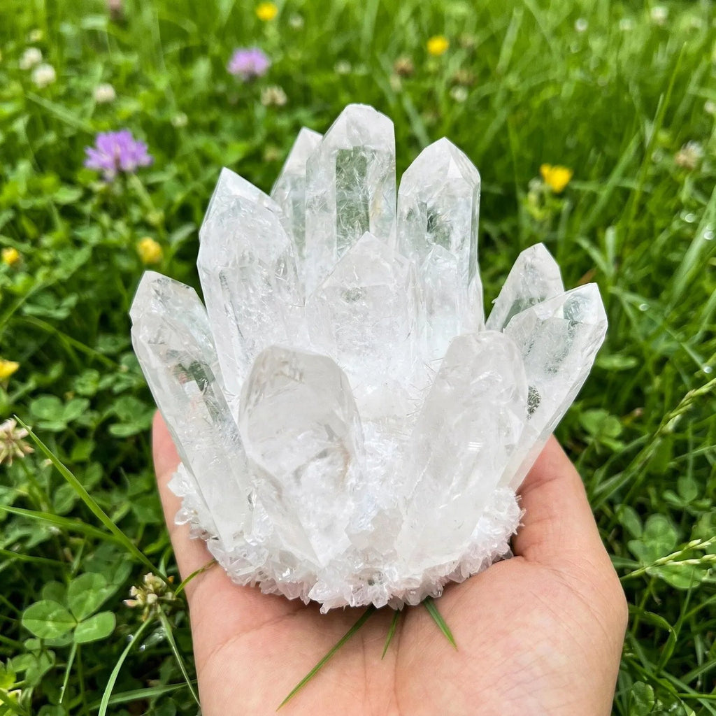 Clear quartz crystal cluster held in hand with green grass and flowers natural healing stone