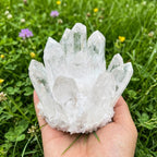 Clear quartz crystal cluster held in hand with green grass and flowers natural healing stone