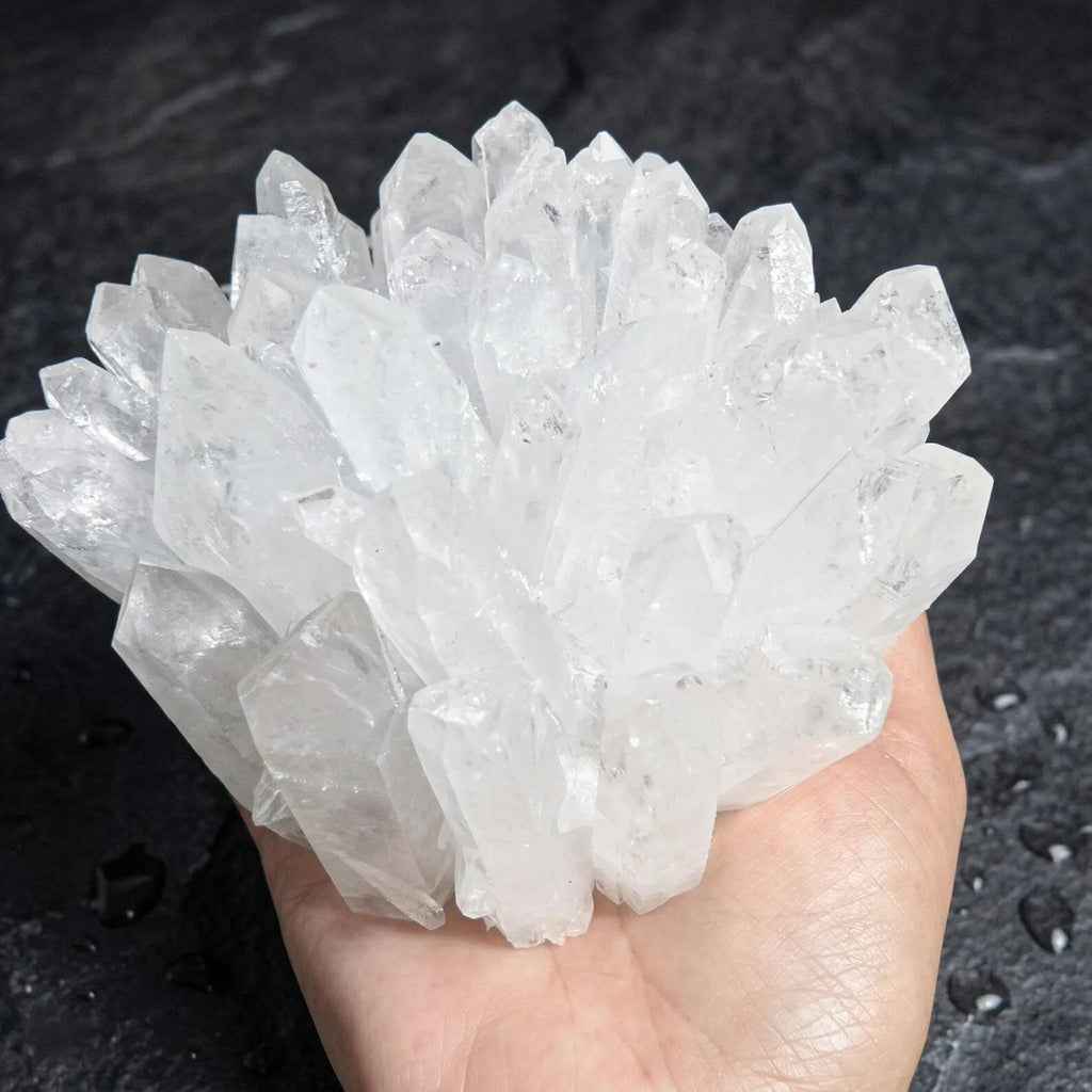 Large raw clear quartz crystal cluster held in hand with dark background natural healing stone