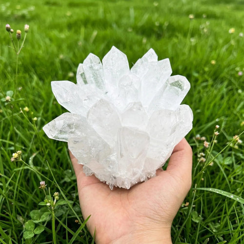 Large clear quartz crystal cluster held in hand natural healing stone outdoor green background