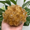 Natural raw citrine quartz crystal cluster held in hand showing golden yellow crystals