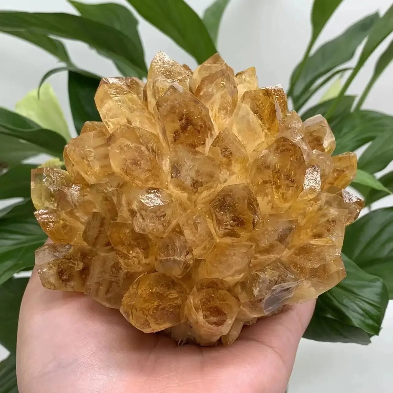 Natural raw citrine quartz crystal cluster held in hand showing golden yellow crystals