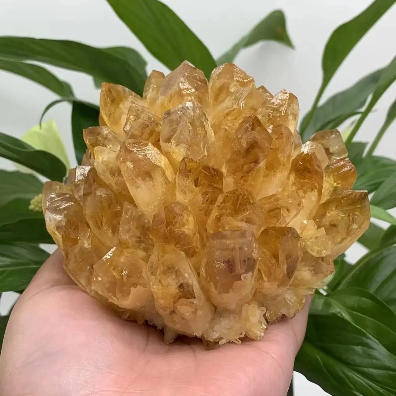Natural raw citrine quartz crystal cluster healing stone golden yellow mineral specimen